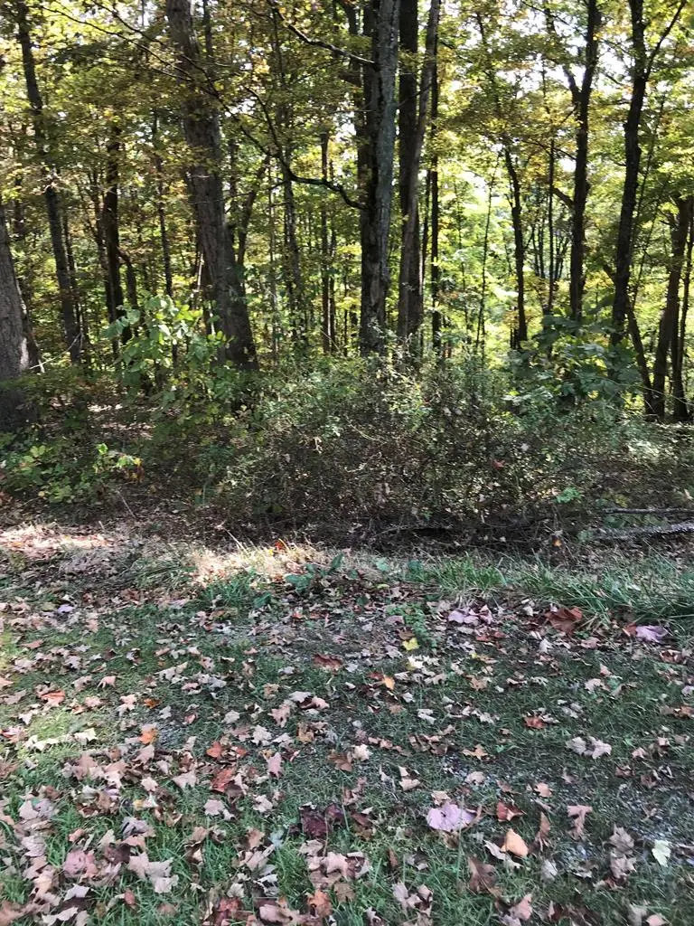 TBD Lot#3 Elem Drive, Chilhowie, VA 24319 - Image #1