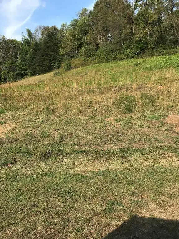 TBD Lot #38 Brooke Street, Chilhowie, VA 24319 - Image #1