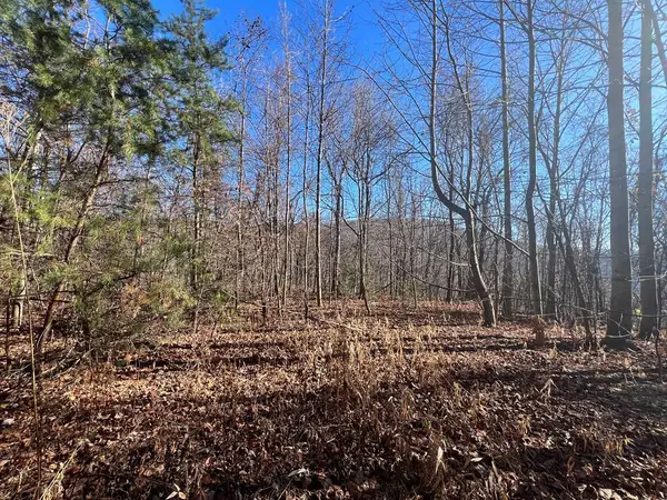 TBD Rocky Ford Road, Cana, VA 24317