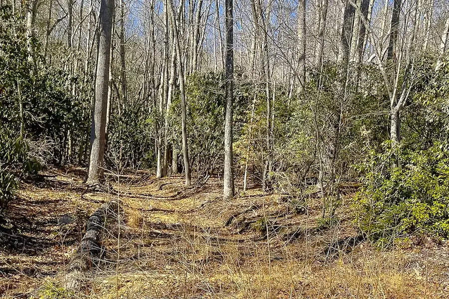 80B Woodland Way, Tazewell, VA 24651 - Image #2