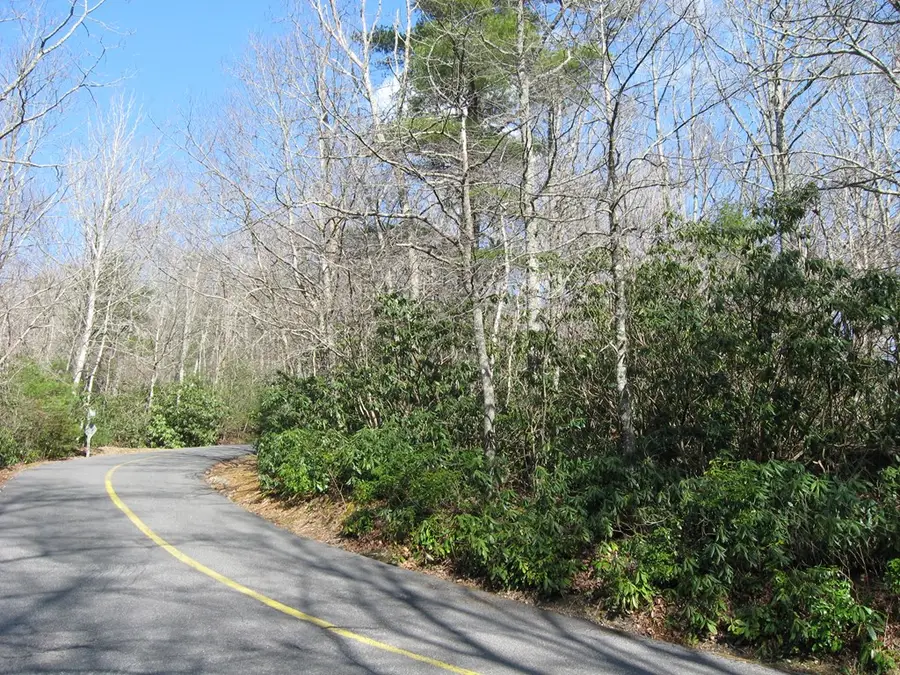 TBD Cascade Trail, Fancy Gap, VA 24328 - Image #2