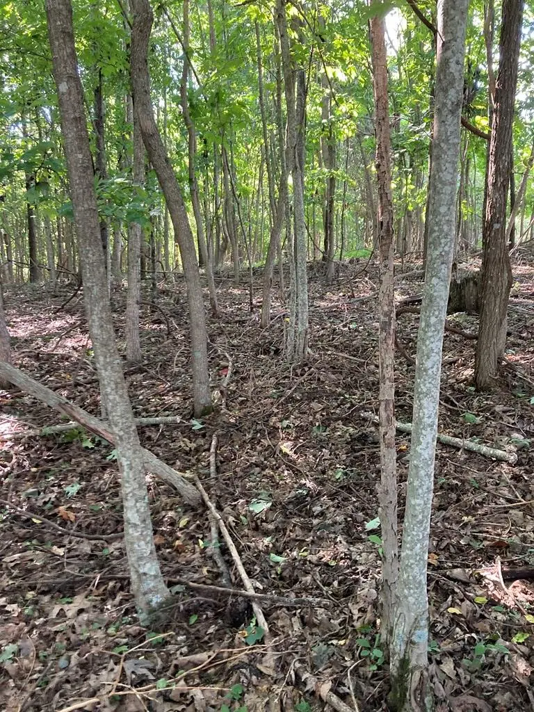 0 lot 10a, Lebanon, VA 24266 - Image #2