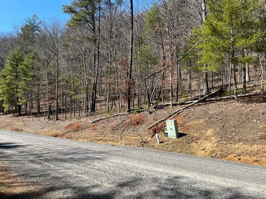TBD New River Oaks Dr, Austinville, VA 24312 - Image #2