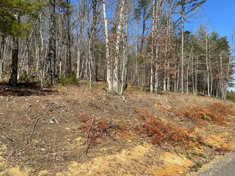 TBD New River Oaks Dr, Austinville, VA 24312 - Image #3