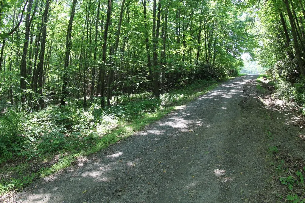 0 Misty Acres, Meadows Of Dan, VA 24120 - Image #1