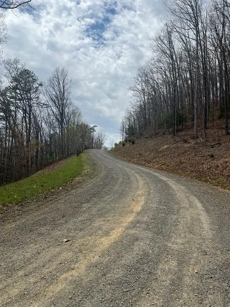 TBD New River Oaks, Austinville, VA 24312 - Image #1