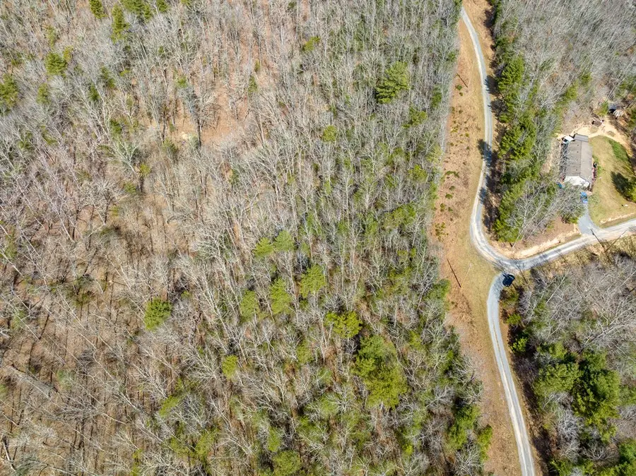 Lot 3 Sunset Lane, Bland, VA 24315 - Image #2