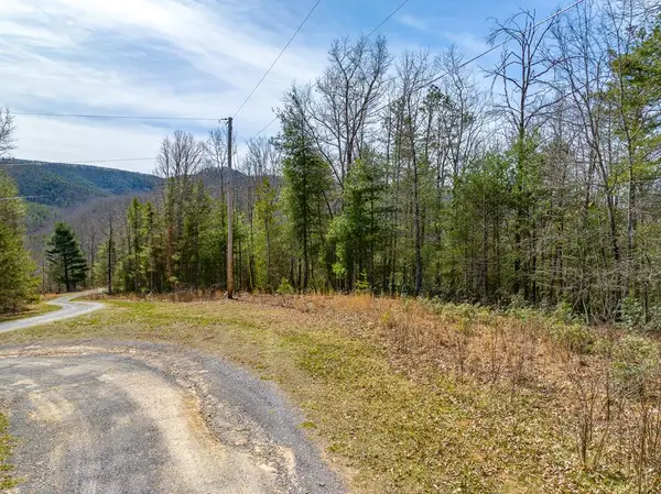 Lot 4 Sunset Lane, Bland, VA 24315
