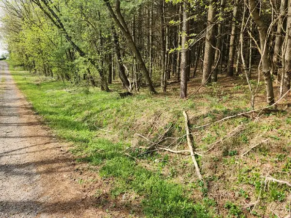 TBD Allis Chalmers Road, Rural Retreat, VA 24368