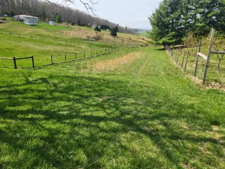 TBD Bide A Wee Ln., Wytheville, VA 24382 - Image #2