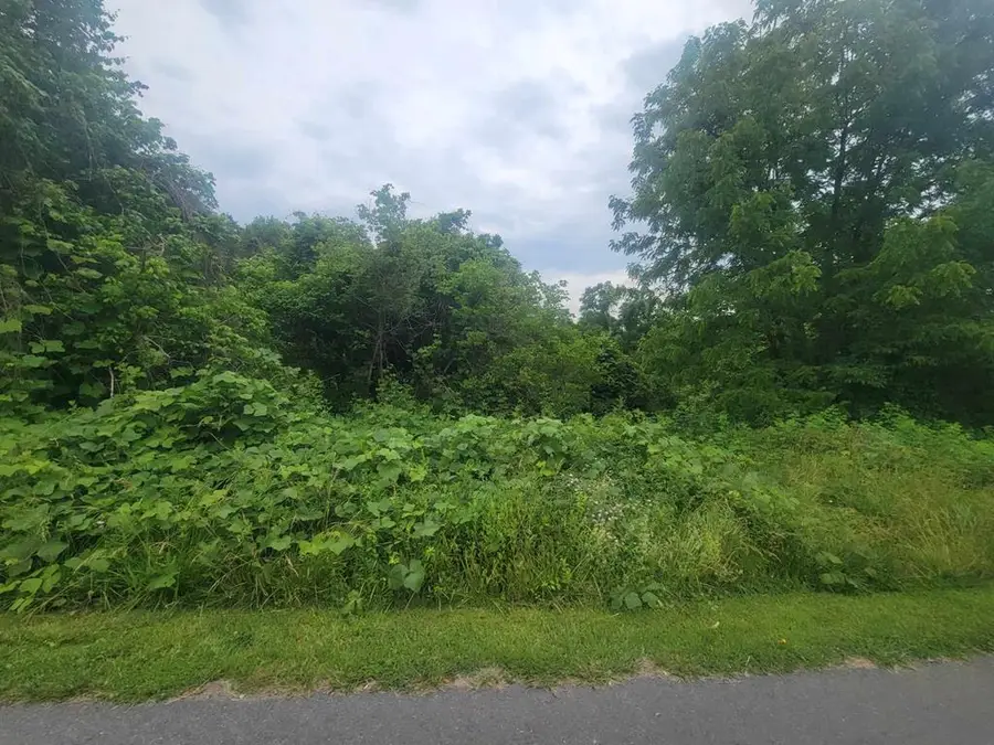 TBD Charity Road, Northwestern, VA 24641 - #3