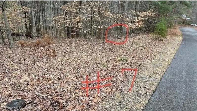 Lot 7 Woods Haven Lane, Stuart, VA 24171 - Image #1
