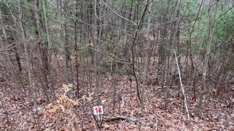 Lot 14 Woods Haven Lane, Smith River, VA 27141 - Image #1