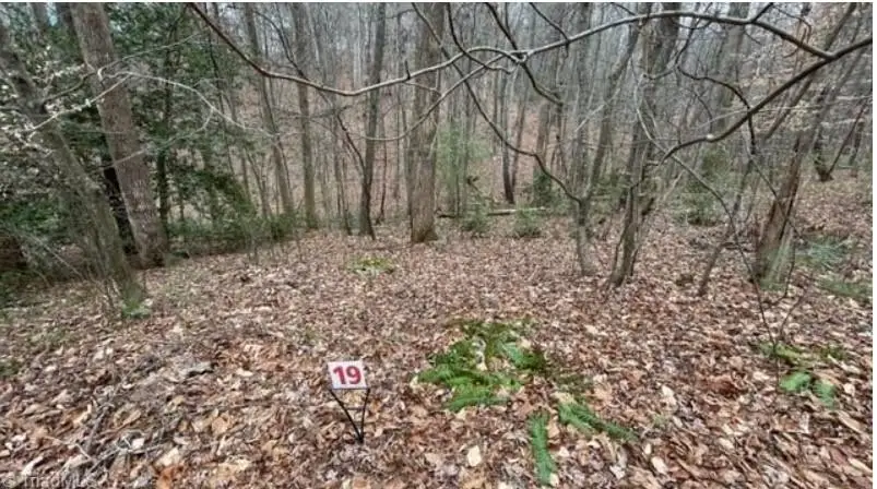 Lot 19 Woods Haven Lane, Stuart, VA 24171 - Image #1
