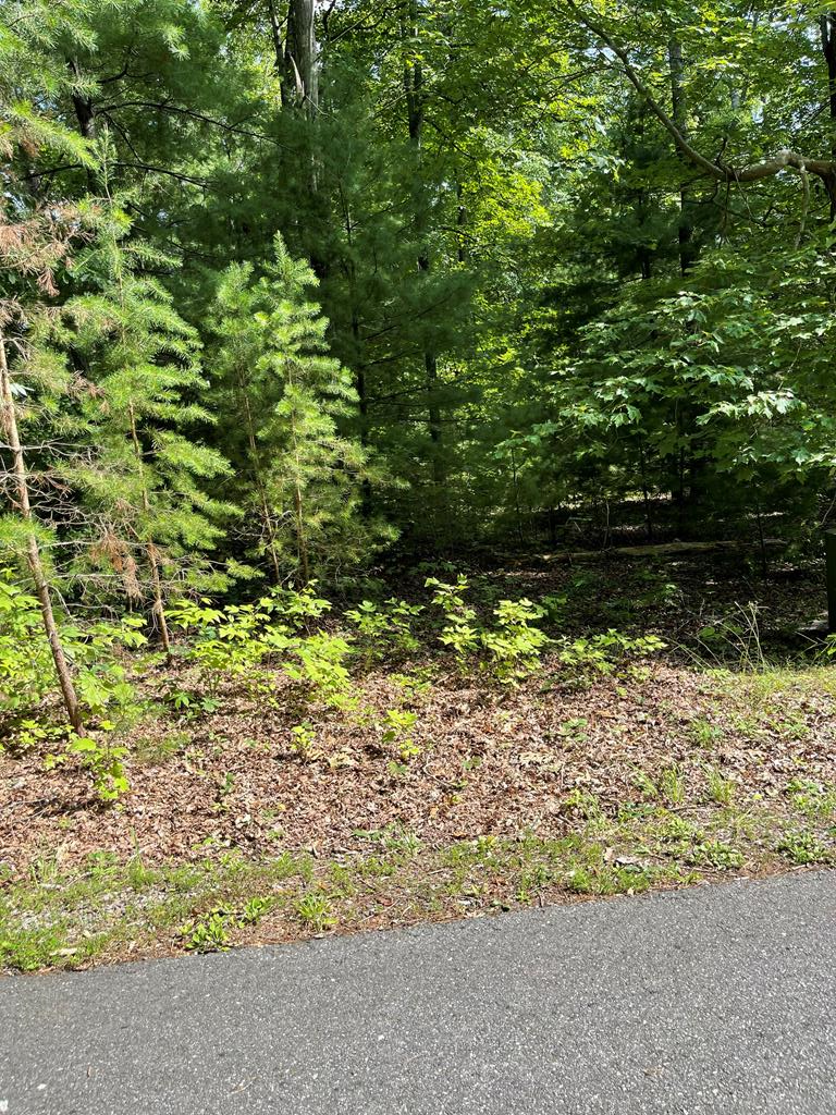 Lot 22 Woods Haven Lane, Stuart, VA 24171 - Image #1