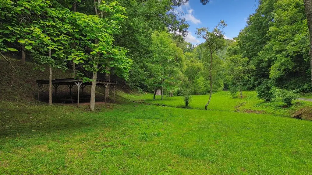 TBD Thompson Creek Road, Honaker, VA 24260 - Image #1