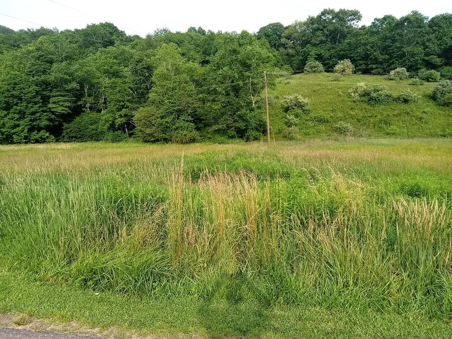 3323 Rugby Road, Mouth Of Wilson, VA 24363 - Image #3