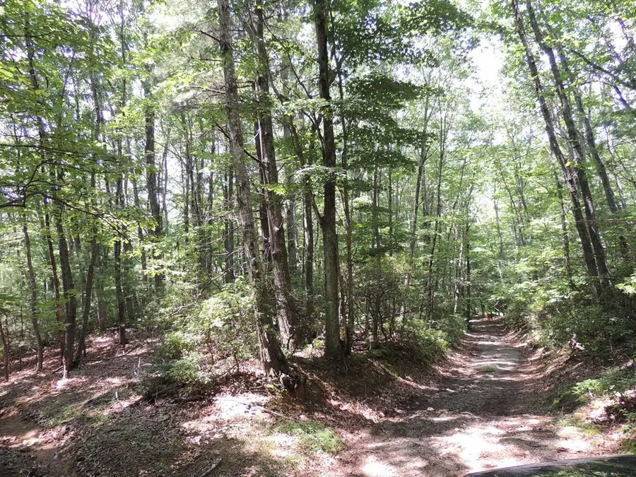 TBD Peach Bottom Road, Independence, VA 24348 - Image #2