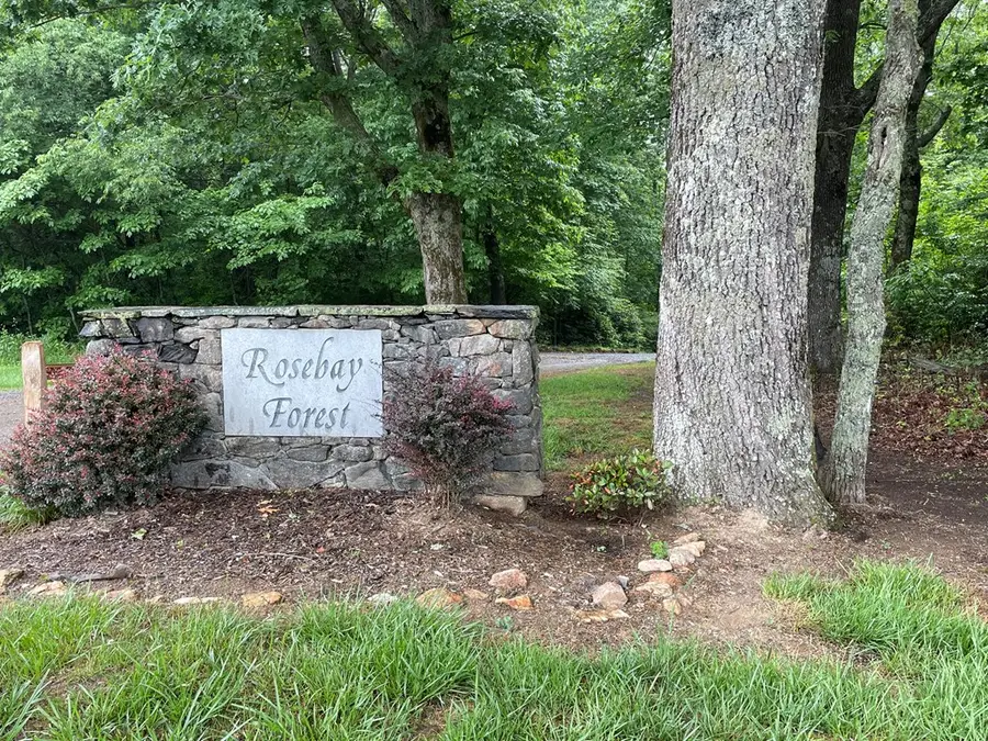 TBD Forest Park Lane, Fancy Gap, VA 24328 - Image #2