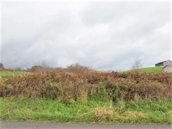 .47ac Rural Retreat Lake Rd, Rural Retreat, VA 24368