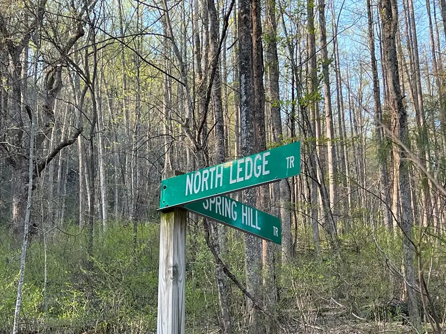 TBD North Ledge Trail, Fancy Gap, VA 24328 - Image #2