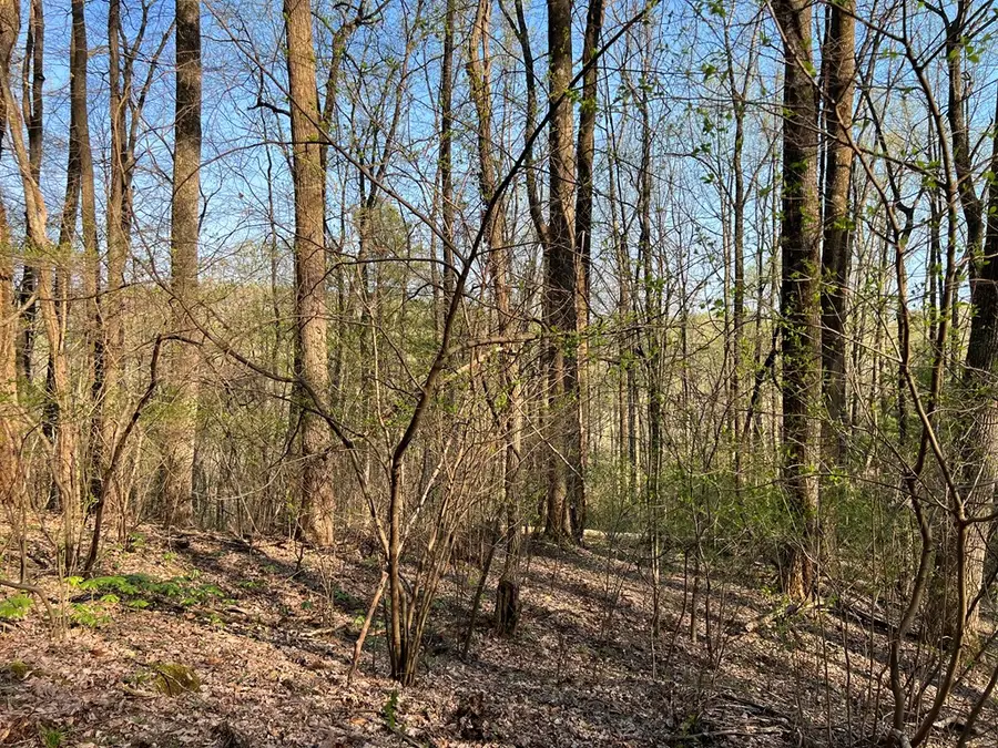 TBD North Ledge Trail, Fancy Gap, VA 24328 - Image #3