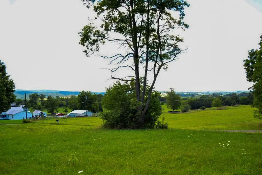 Lot 20 S Petunia Road, Wytheville, VA 24382 - Image #3