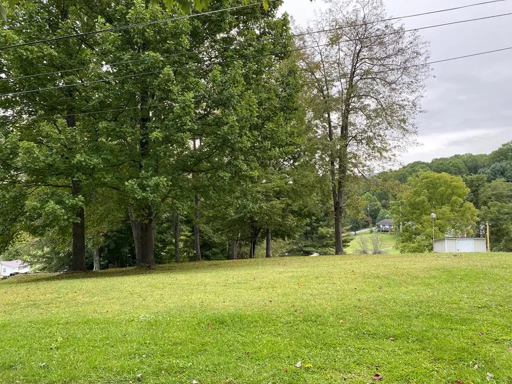 TBD Summitt Dr., Cedar Bluff, VA 24609 - Image #1