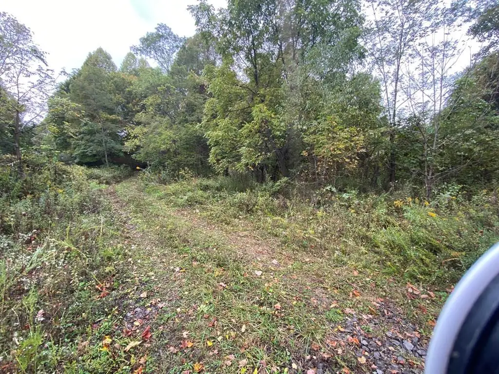TBD Bandy Rd / Whitaker Ridge area, Bandy, VA 24602 - Image #1