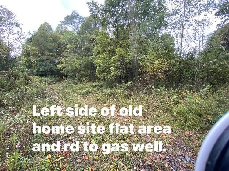 TBD Bandy Rd / Whitaker Ridge area, Bandy, VA 24602 - Image #2