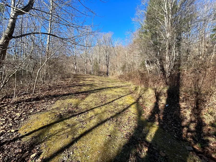 TBD Horton Ridge RD, Swords Creek, VA 24649 - Image #2