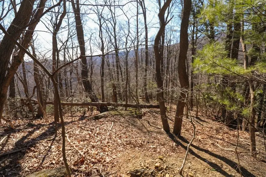 Lot 75 Black Gum Trail, Fancy Gap, VA 24328 - #3