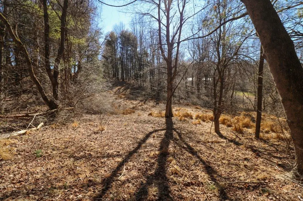 Lot 65 Southern View Trail, Fancy Gap, VA 24328 - Image #1