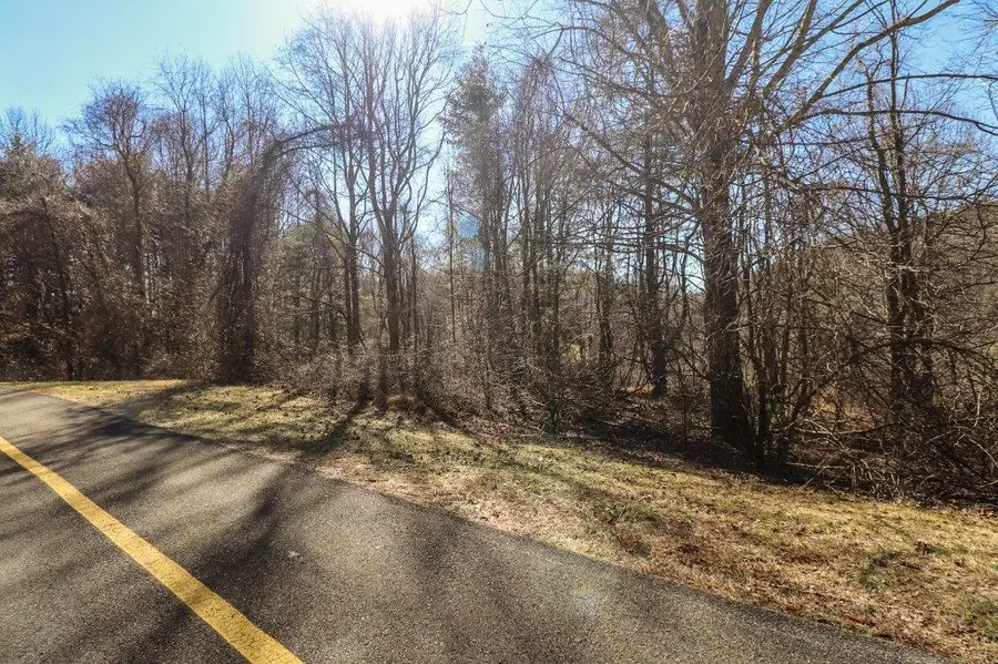 Lot 65 Southern View Trail, Fancy Gap, VA 24328 - Image #2
