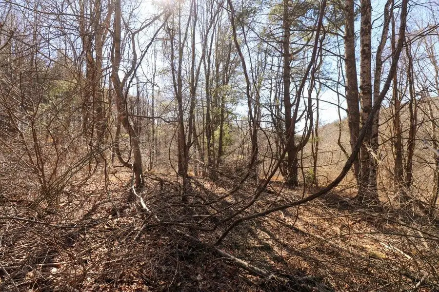 Lot 65 Southern View Trail, Fancy Gap, VA 24328 - Image #3