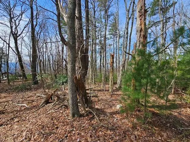 TBD Antler Point, Hillsville, VA 24343 - Image #1