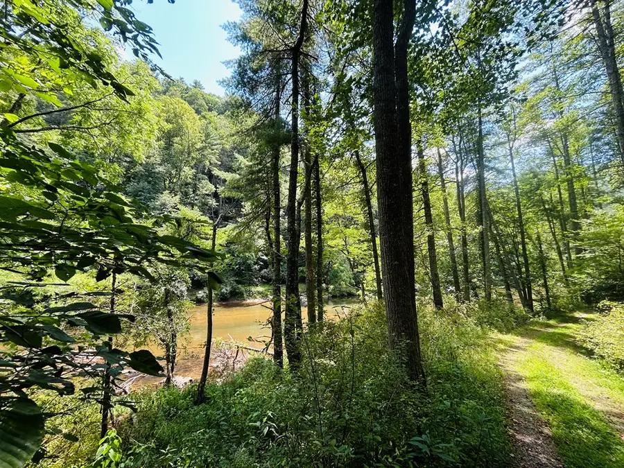 TBD Chestnut Oak Lane, Dugspur, VA 24325 - Image #3