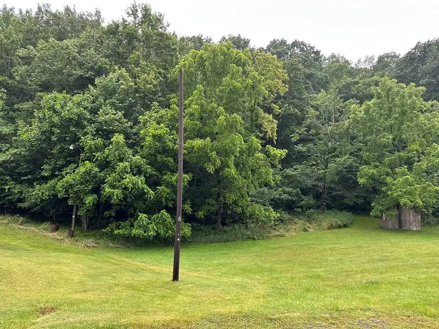 TBD Broadway Rd, Wytheville, VA 24382 - Image #2