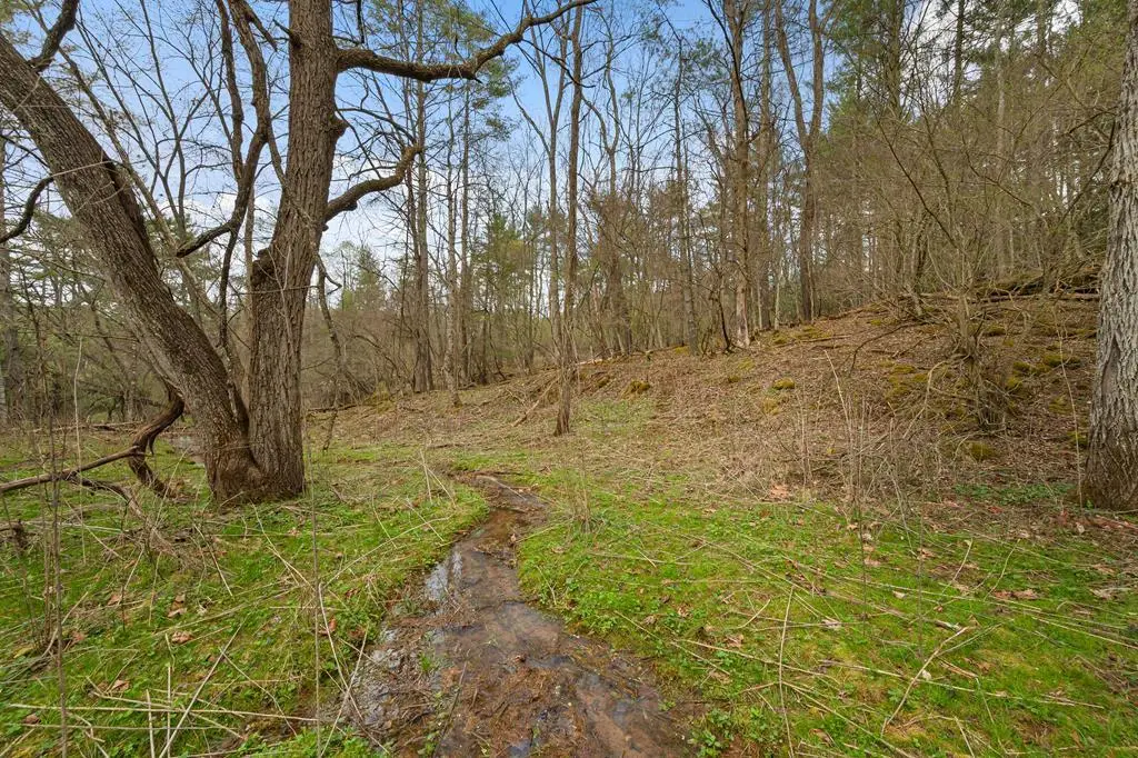 96 ac Cole Mountain  Rd, Hiwassee, VA 24347 - Image #1