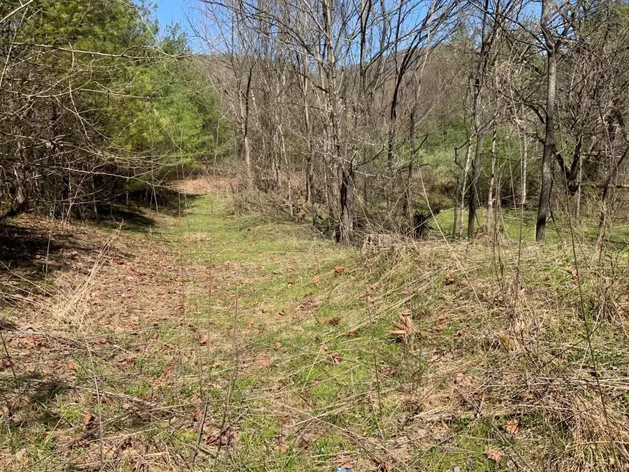 96 ac Cole Mountain  Rd, Hiwassee, VA 24347 - Image #2