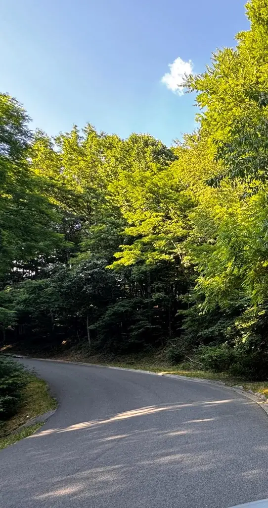 TBD Neel & Vencil, Bluefield, VA 24605 - #3