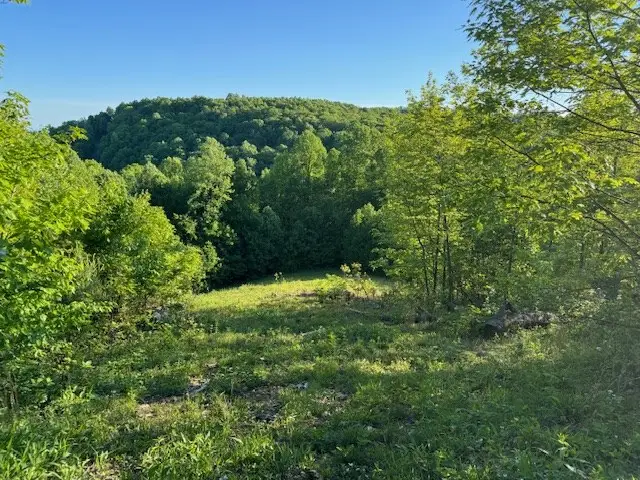 100 Cabin Ridge Trail, Fancy Gap, VA 24328 - Image #2