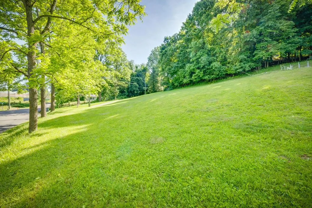 TBD Wallace Pike, Bristol, VA 24201 - Image #1