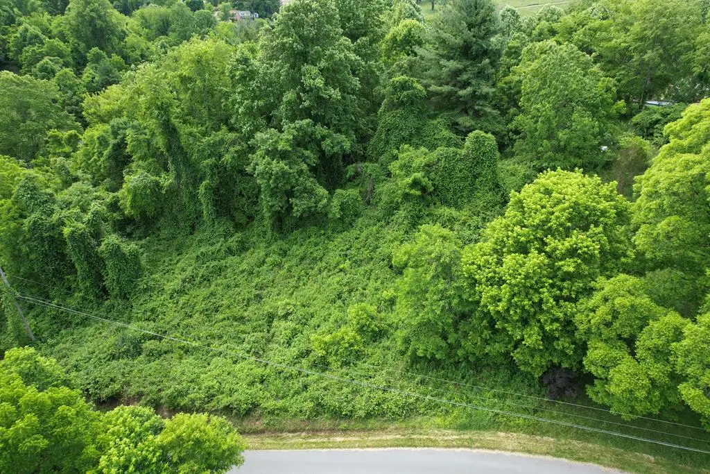 TBD Euclid Ave, Marion, VA 24354 - #1