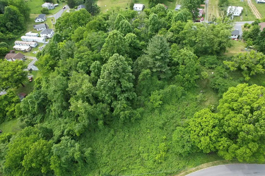 TBD Euclid Ave, Marion, VA 24354 - #2