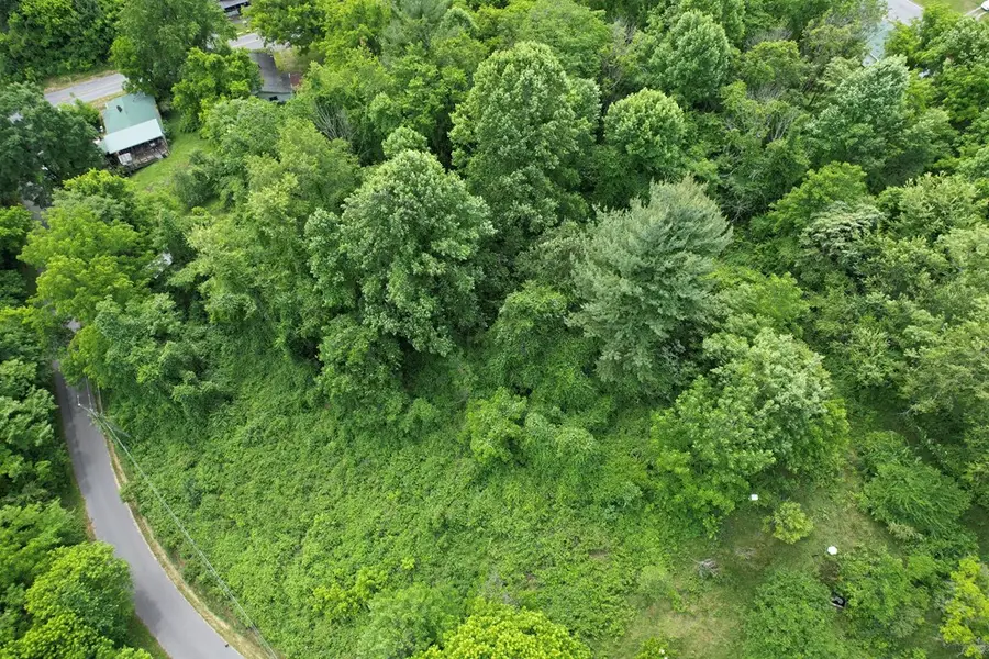 TBD Euclid Ave, Marion, VA 24354 - #3