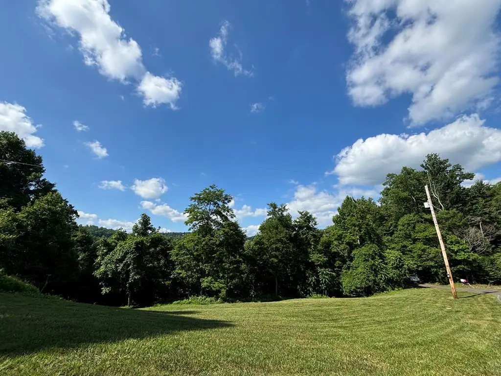 Lot # 20 Starry Nights Dr, Fancy Gap, VA 24328 - Image #1