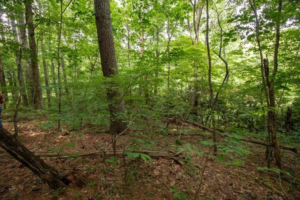 Lot 28 Manor House Dr, Laurel Fork, VA 24352 - Image #1