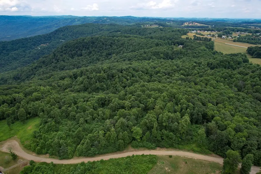 TBD Pheasant Chase, Ararat, VA 24053 - Image #2