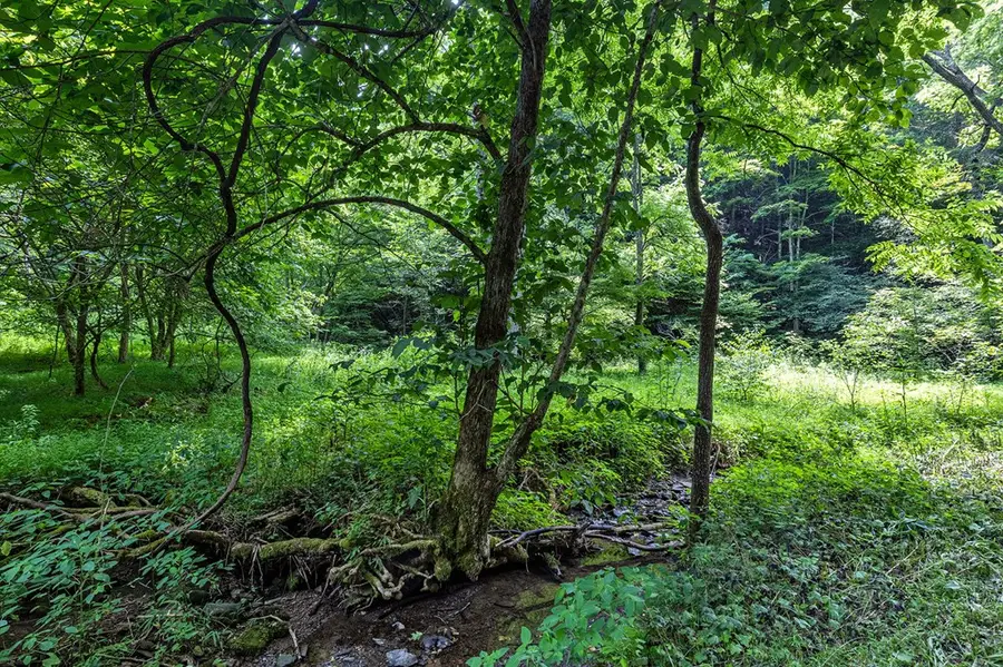 Lot 9 Lone Star Road, Bristol, VA 24202 - #2